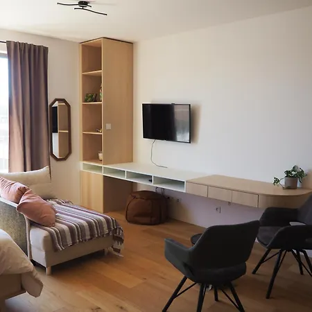 아파트 Modern 1br With Gym 브르노